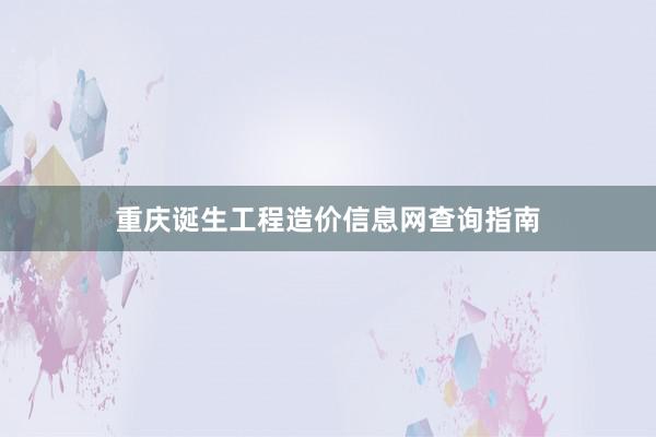 重庆诞生工程造价信息网查询指南